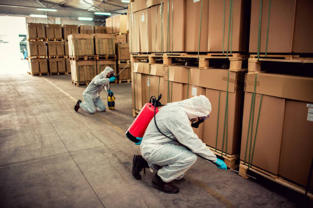 Best Pest Control Treatment  in Lake Hamilton, AR