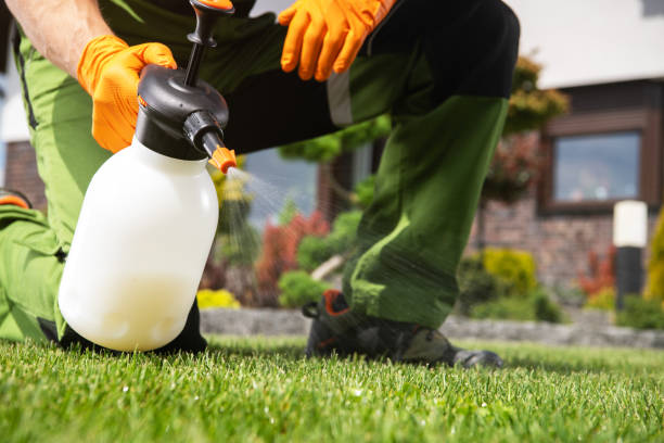 Best Flea Control Services  in Lake Hamilton, AR