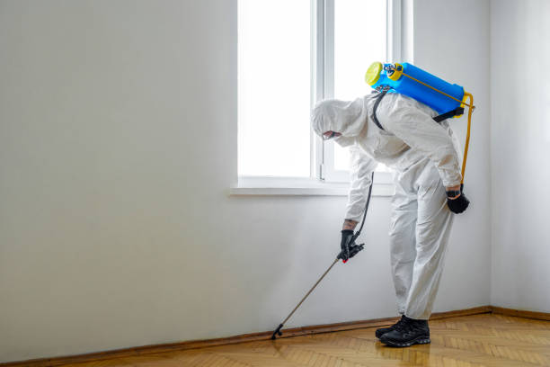 Best Mosquito Control Services  in Lake Hamilton, AR
