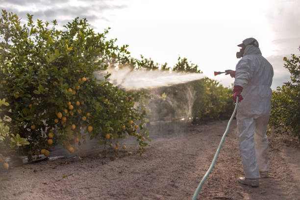 Best Affordable Pest Control Services  in Lake Hamilton, AR