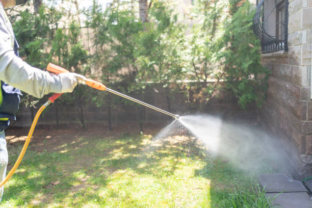 Best Emergency Pest Control  in Lake Hamilton, AR