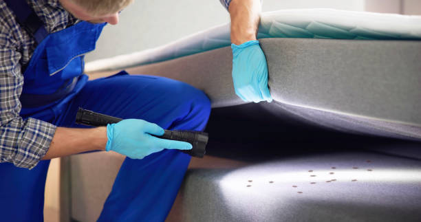 Best Pest Inspection Near Me  in Lake Hamilton, AR