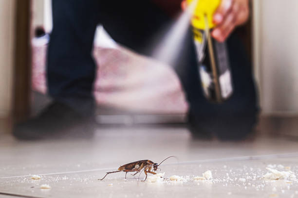 Best Cockroach Control Services  in Lake Hamilton, AR