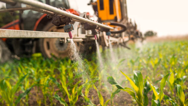 Best Pest Inspection Near Me  in Lake Hamilton, AR